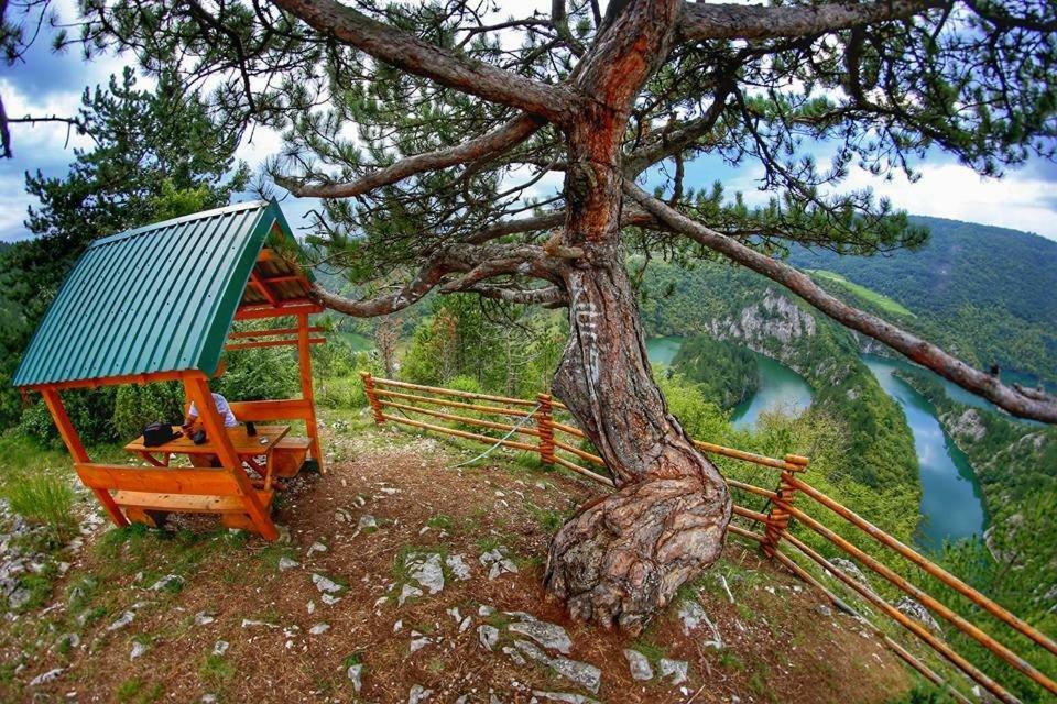 بلييفليا Bungalovi Mijakovici المظهر الخارجي الصورة